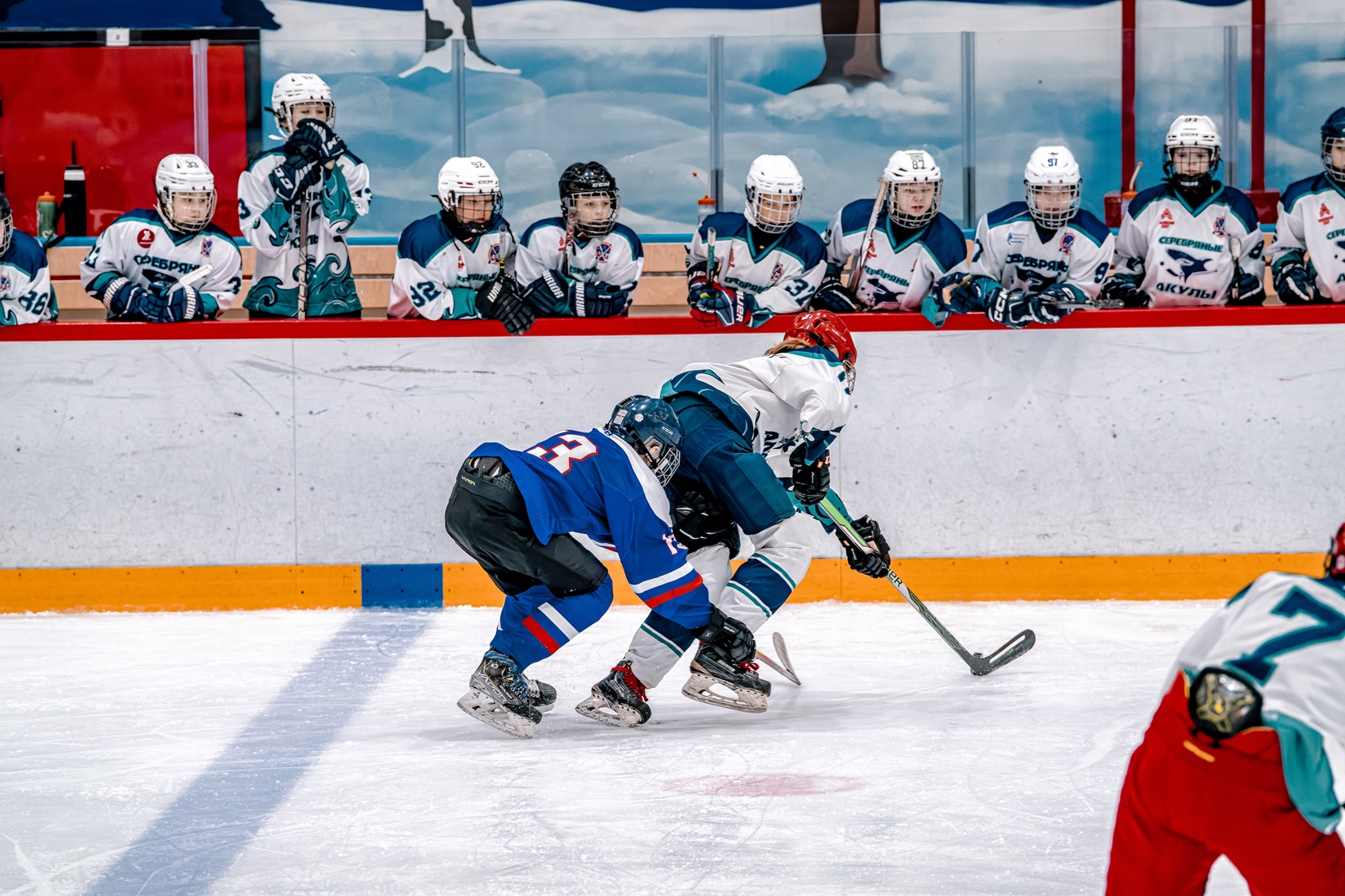 Фото: Гранит-2013 – Серебряные Акулы – 1:3