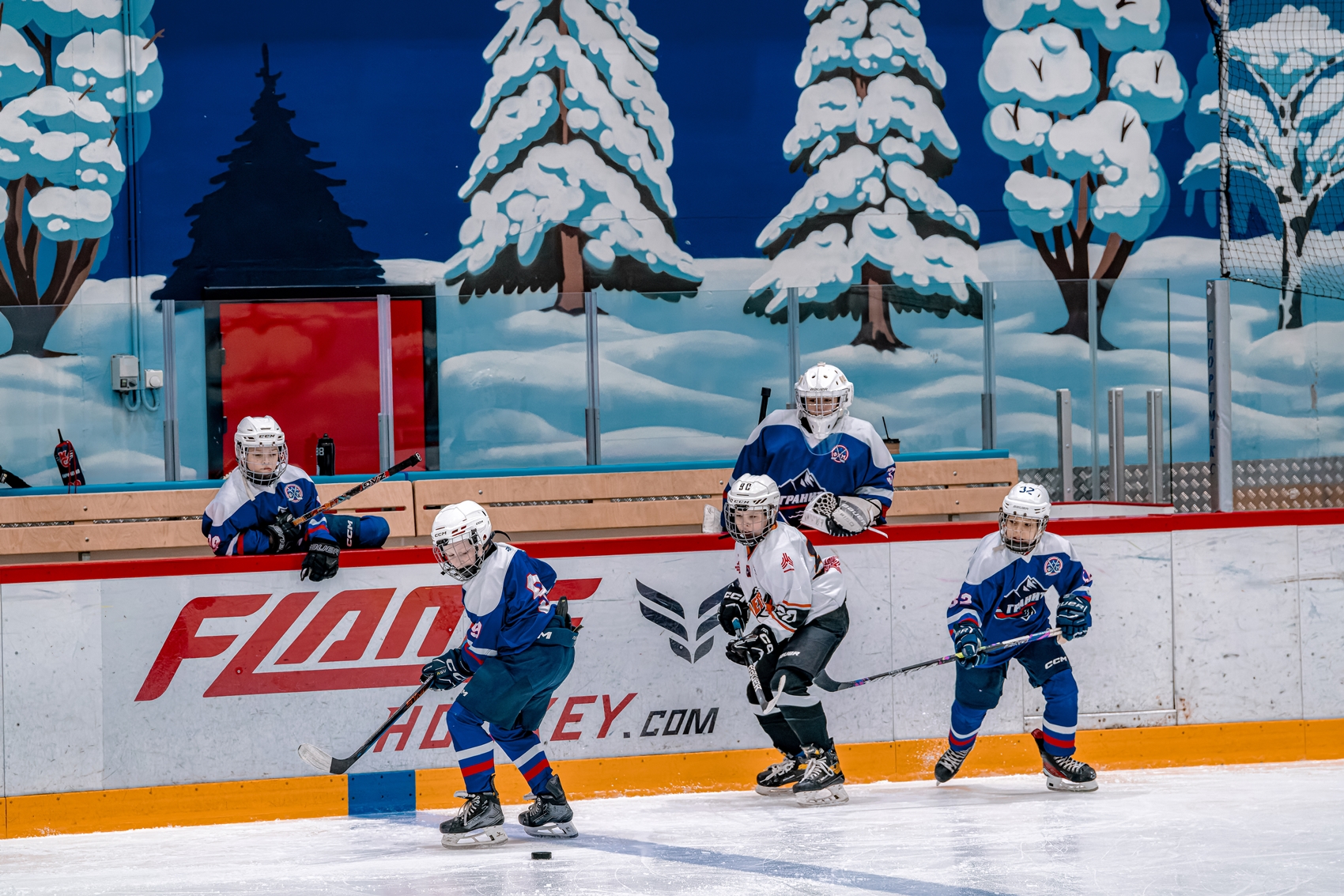 Фото: Гранит-Митино-2014 – Метеор – 1:4