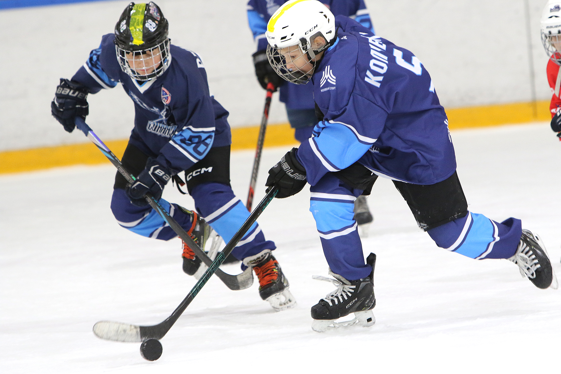 Фото: Синяя птица - Академия Бирюкова 2012