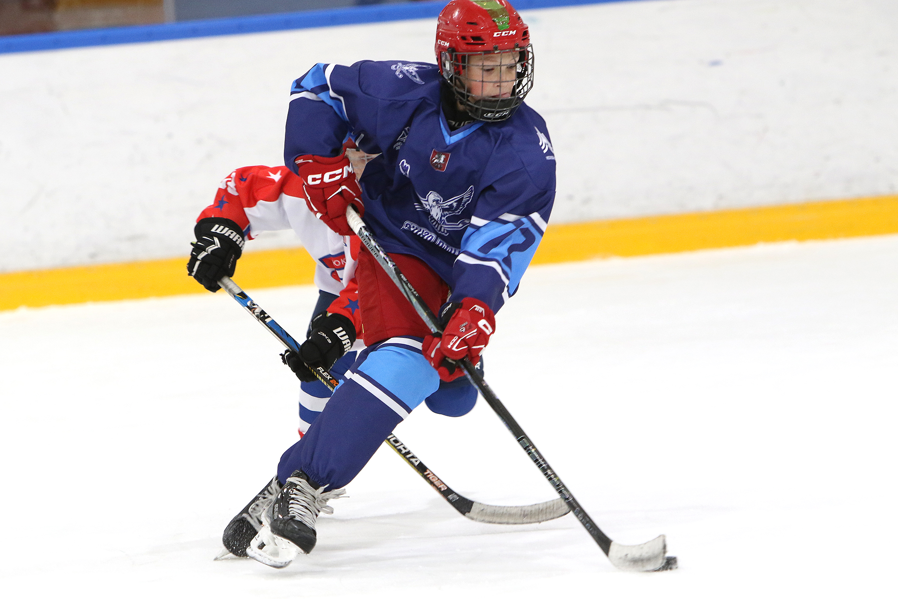 Фото: Синяя птица - Академия Бирюкова 2012