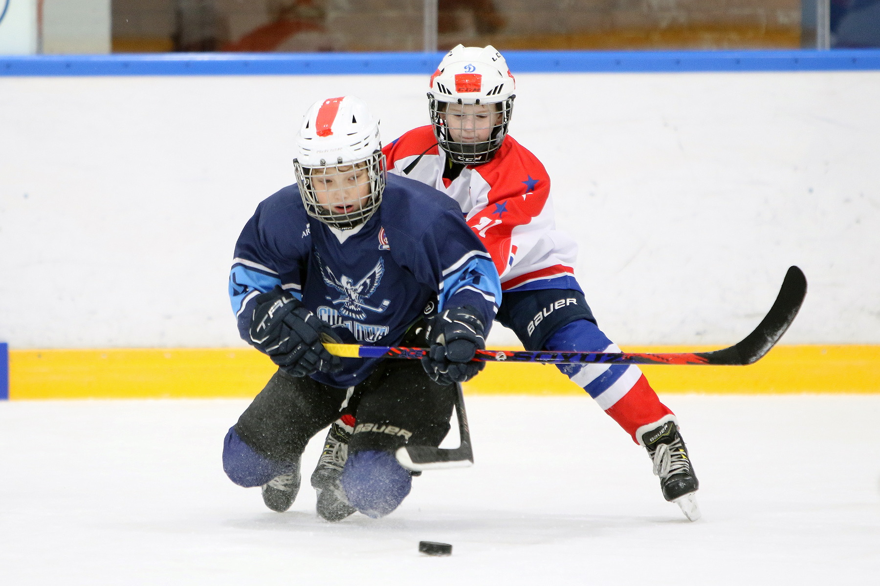 Фото: Синяя птица - Академия Бирюкова 2012