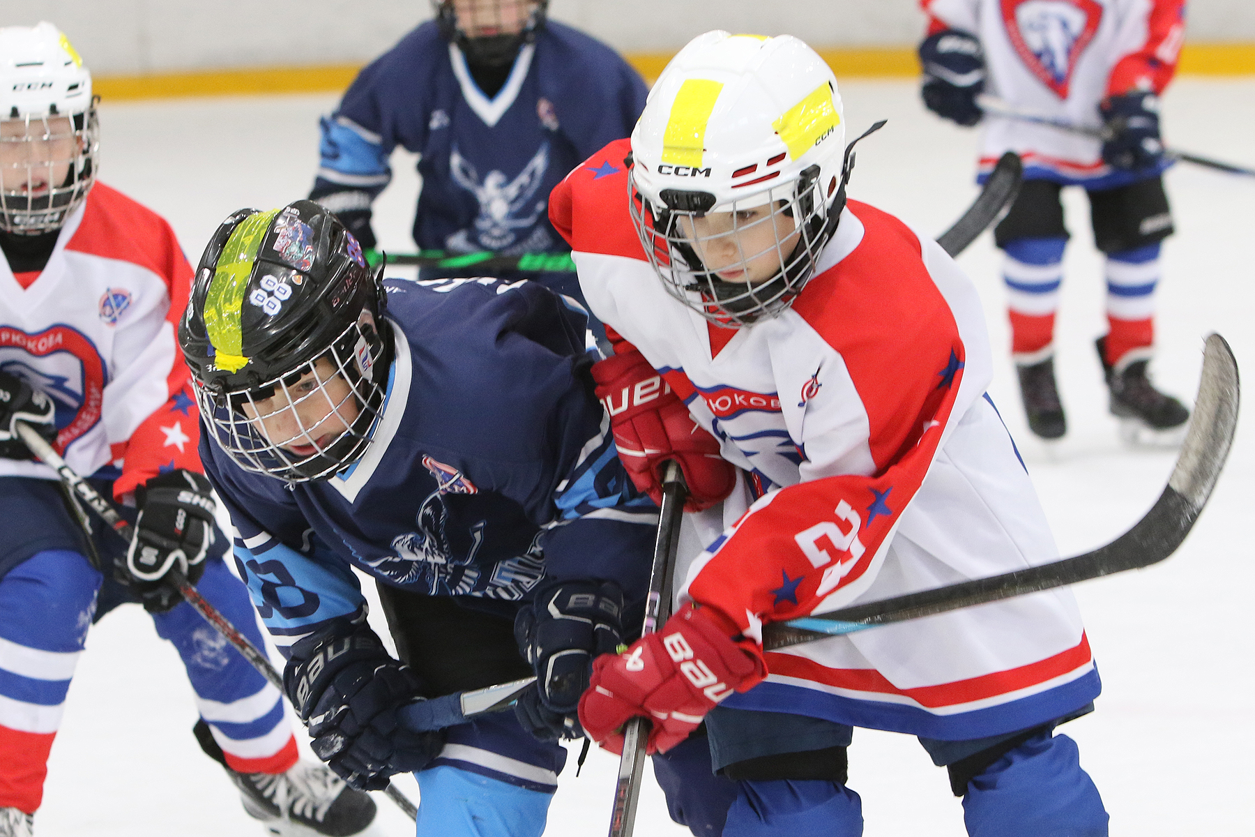 Фото: Синяя птица - Академия Бирюкова 2012