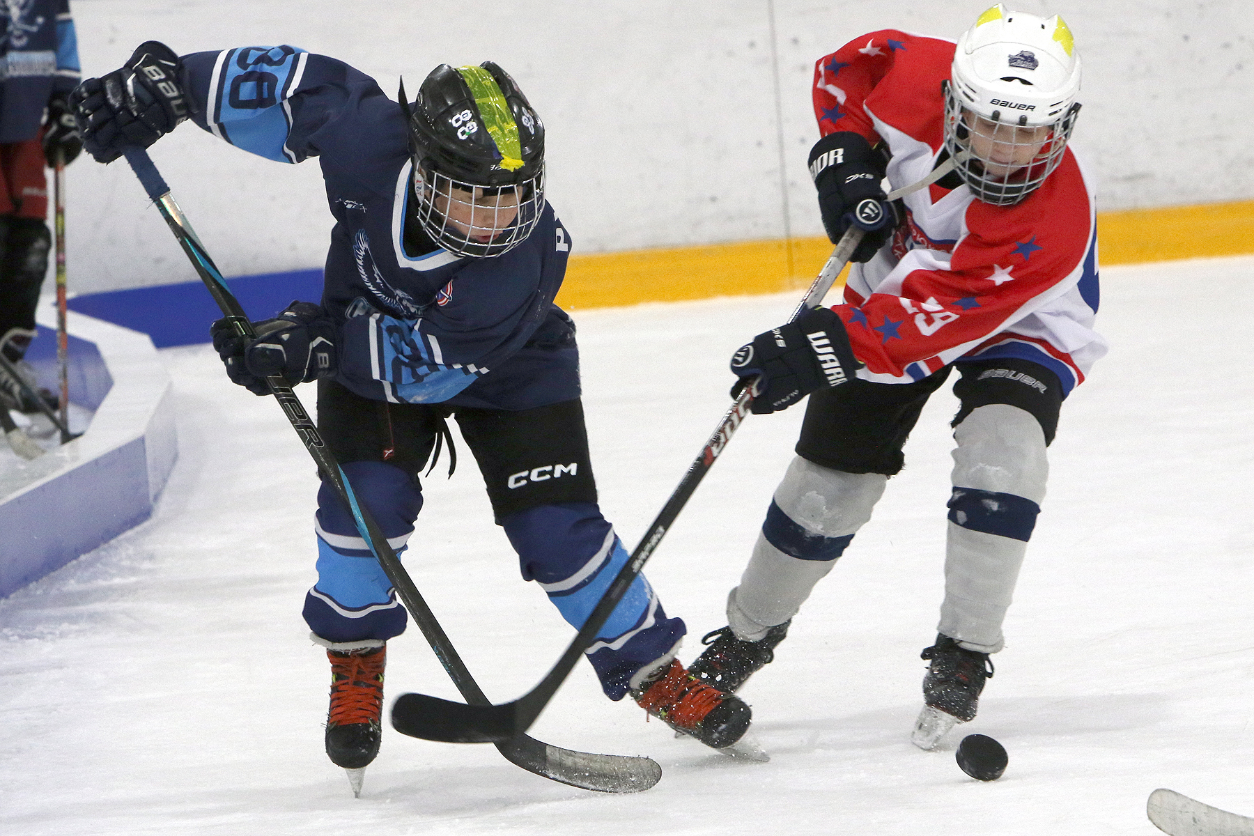 Фото: Синяя птица - Академия Бирюкова 2012