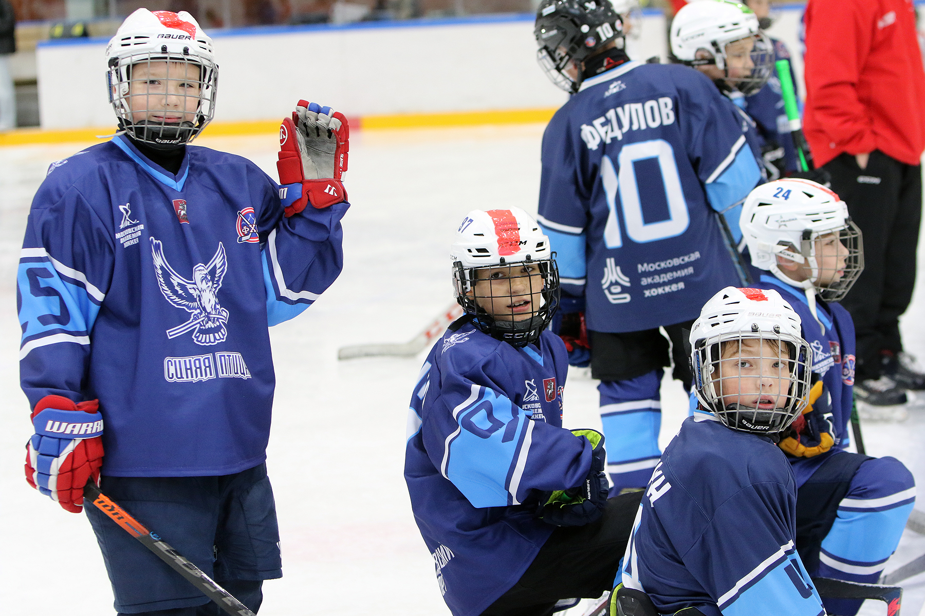 Фото: Синяя птица - Академия Бирюкова 2012