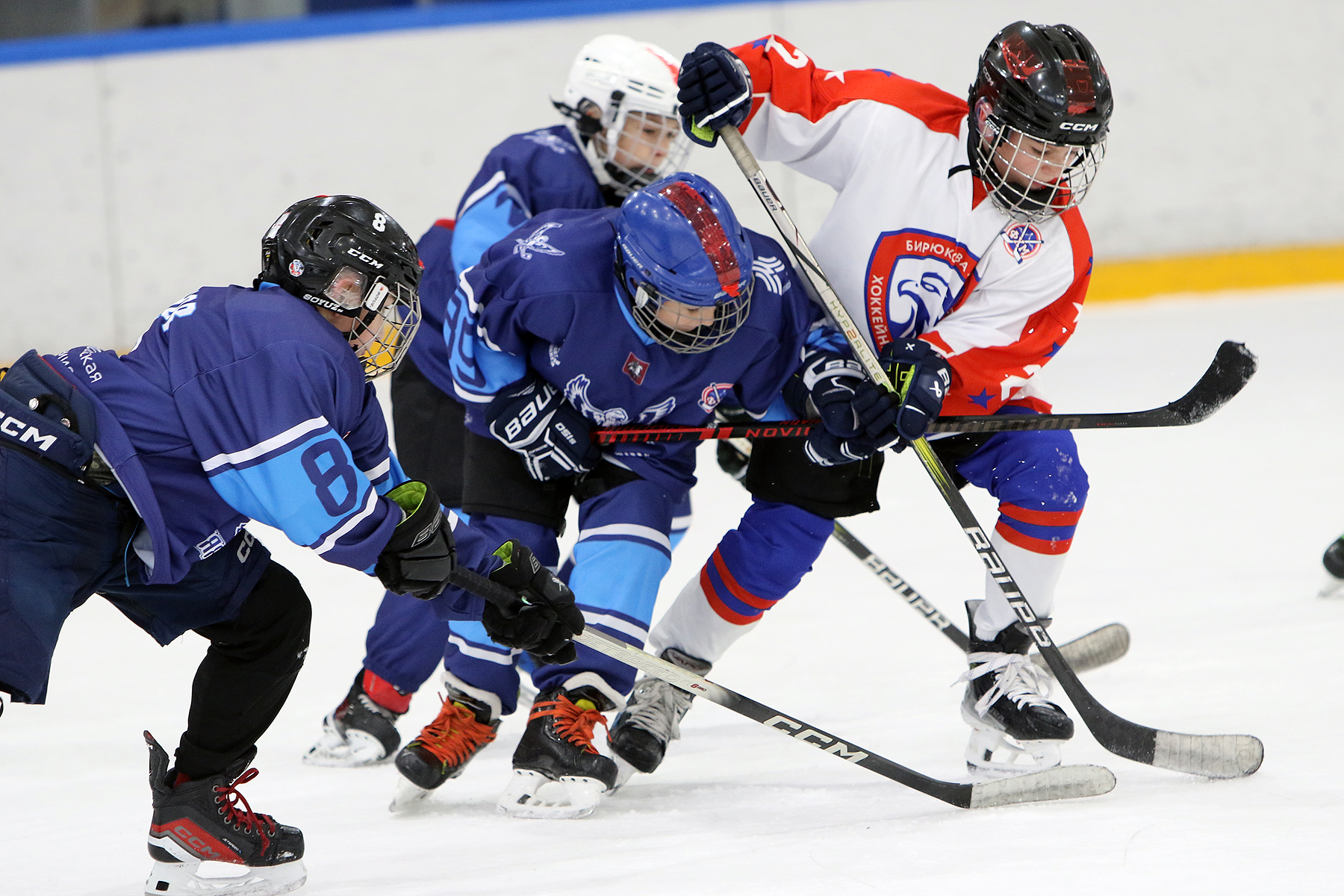 Фото: Синяя птица - Академия Бирюкова 2012