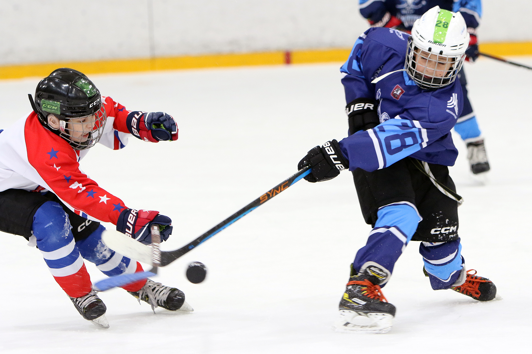 Фото: Синяя птица - Академия Бирюкова 2012