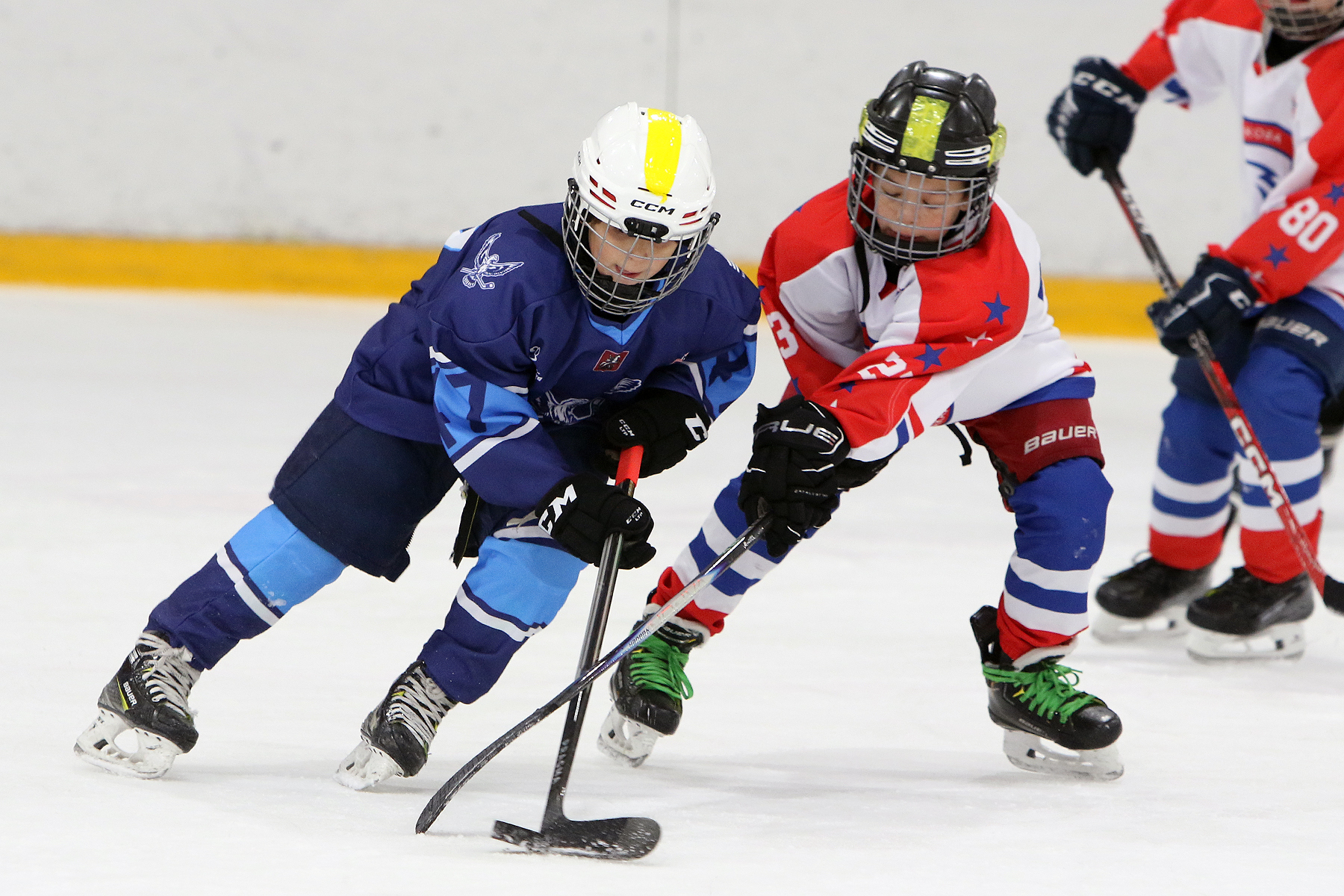 Фото: Синяя птица - Академия Бирюкова 2012