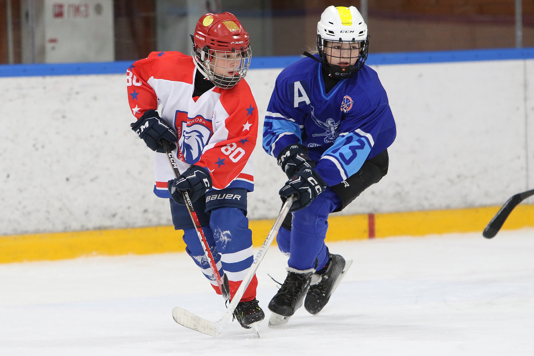 Фото: Синяя птица - Академия Бирюкова 2012