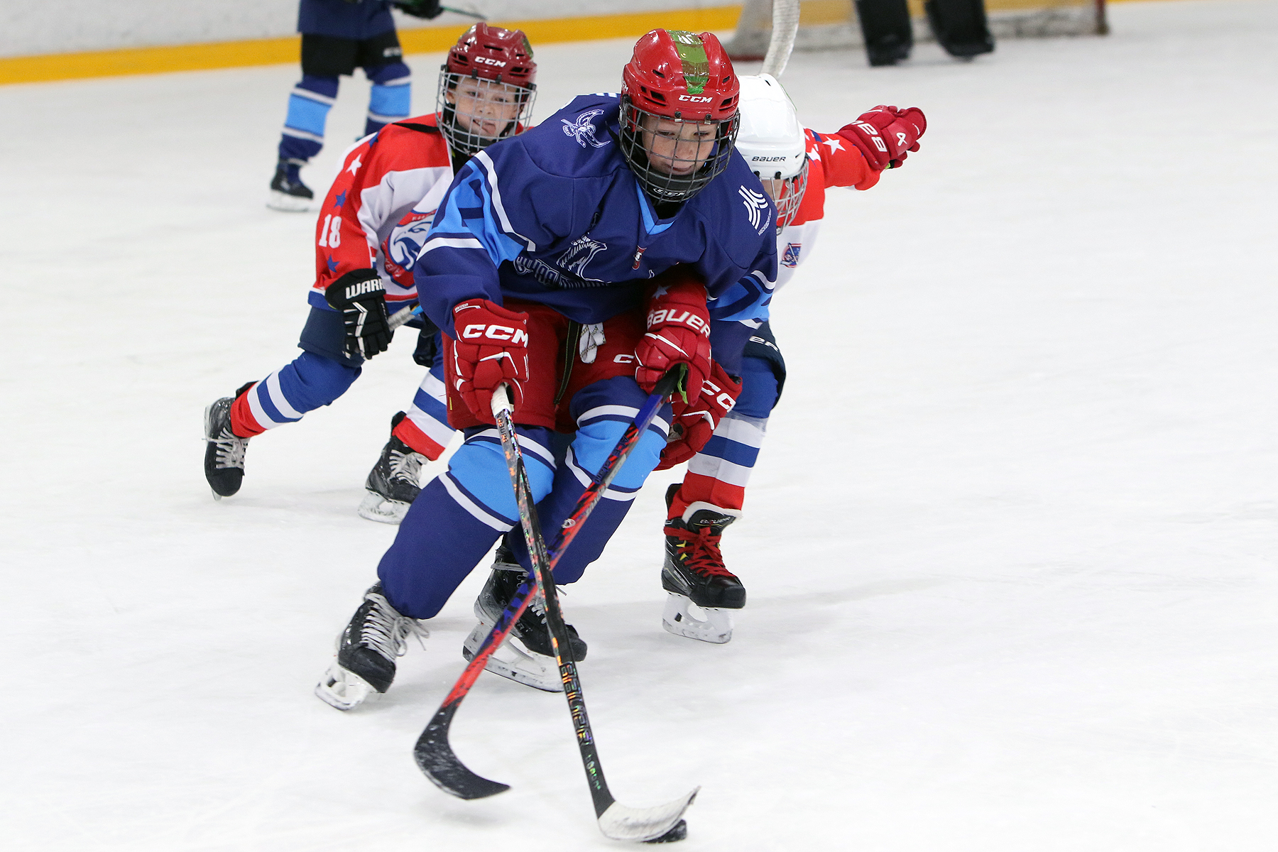 Фото: Синяя птица - Академия Бирюкова 2012