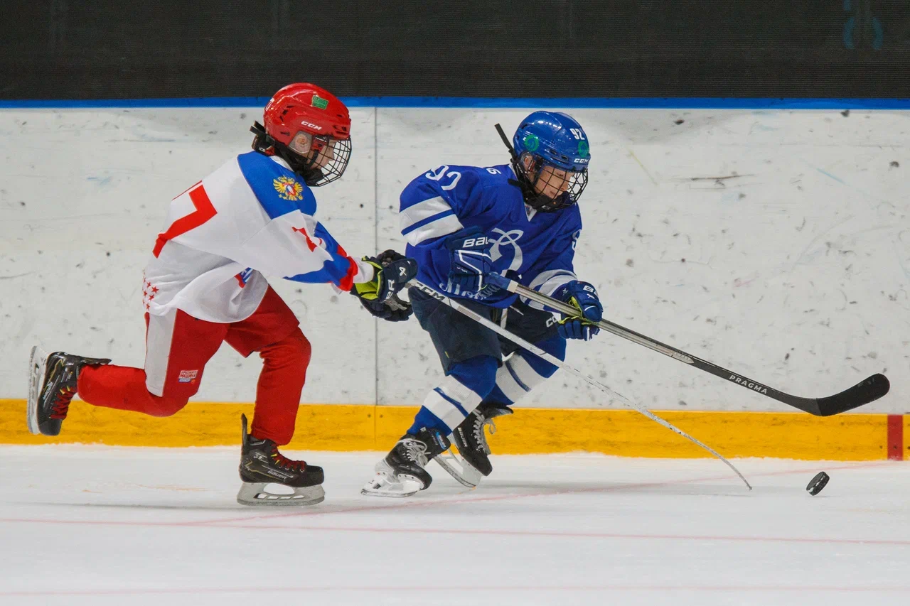 Фото: Динамо - Красная машина Юниор 2016