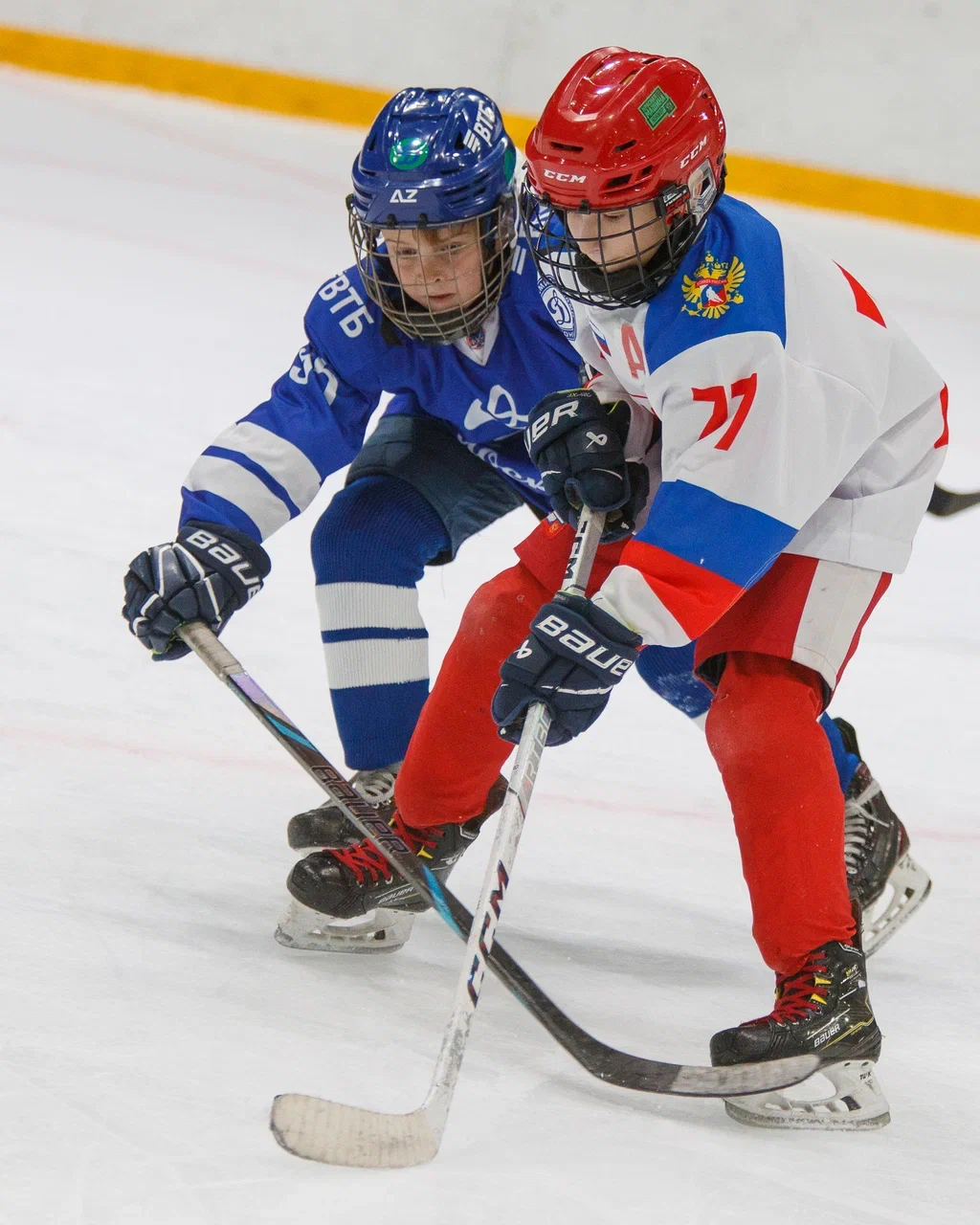 Фото: Динамо - Красная машина Юниор 2016