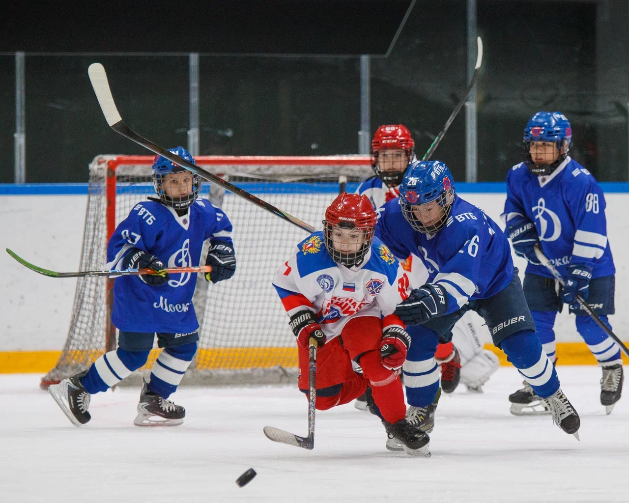 Фото: Динамо - Красная машина Юниор 2016