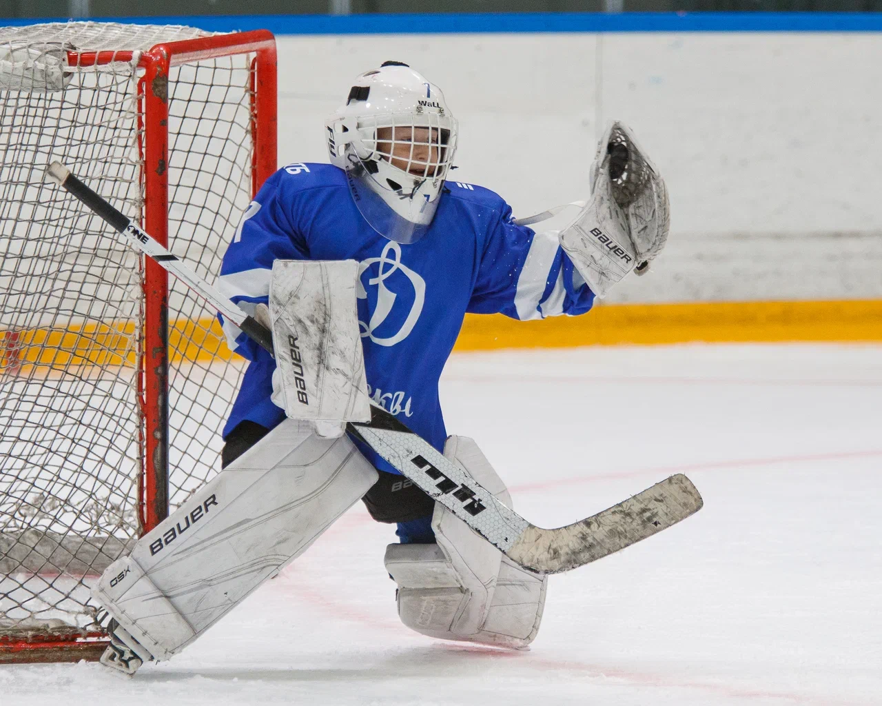 Фото: Динамо - Красная машина Юниор 2016