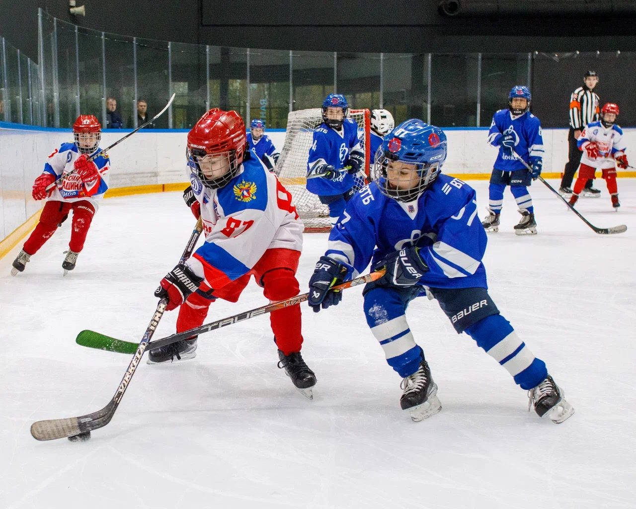 Фото: Динамо - Красная машина Юниор 2016