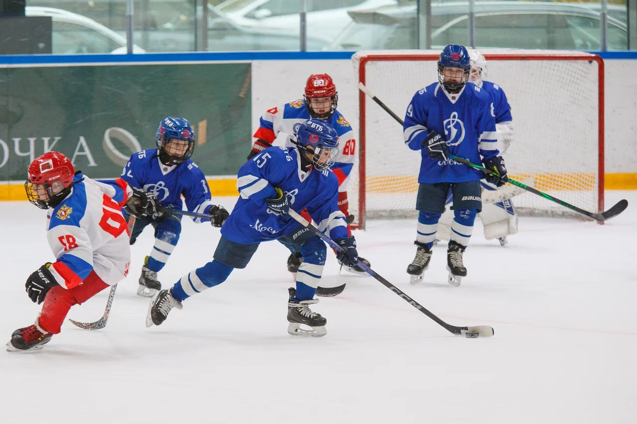 Фото: Динамо - Красная машина Юниор 2016