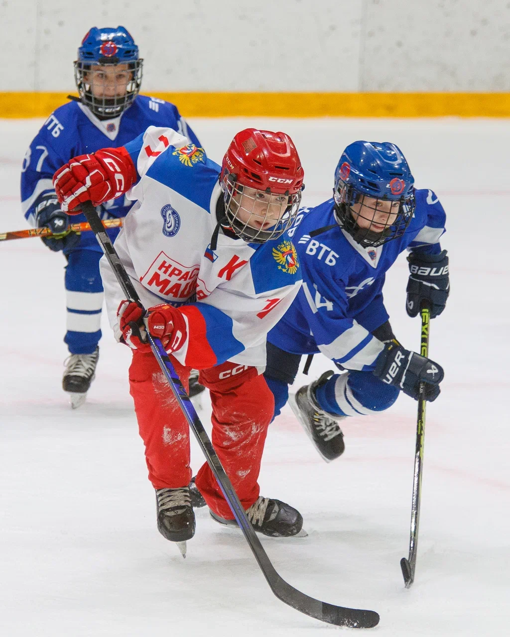 Фото: Динамо - Красная машина Юниор 2016