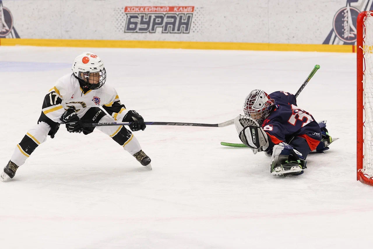Фото: Буран - Пингвины 2015