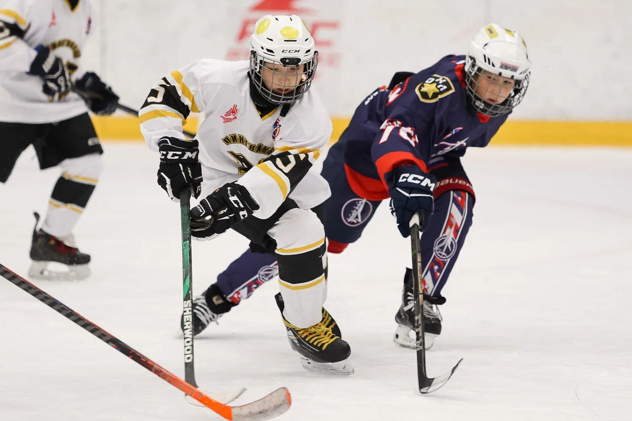 Фото: Буран - Пингвины 2015