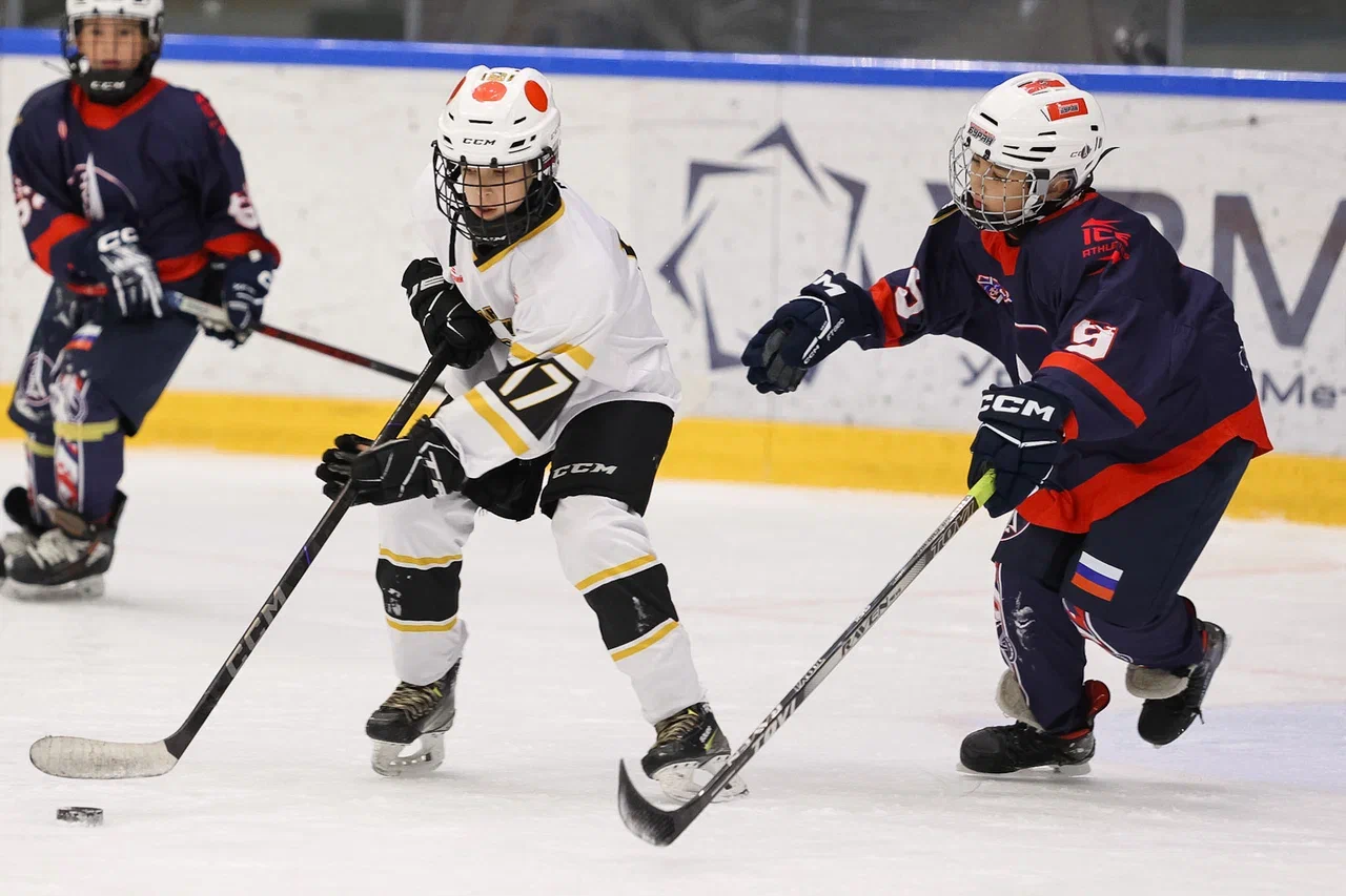 Фото: Буран - Пингвины 2015