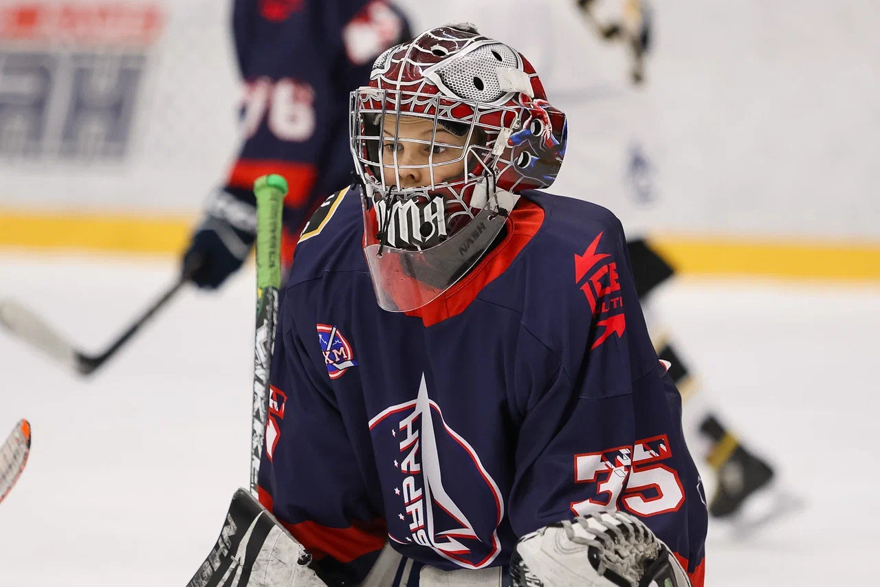 Фото: Буран - Пингвины 2015