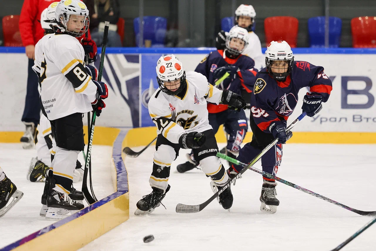 Фото: Буран - Пингвины 2015