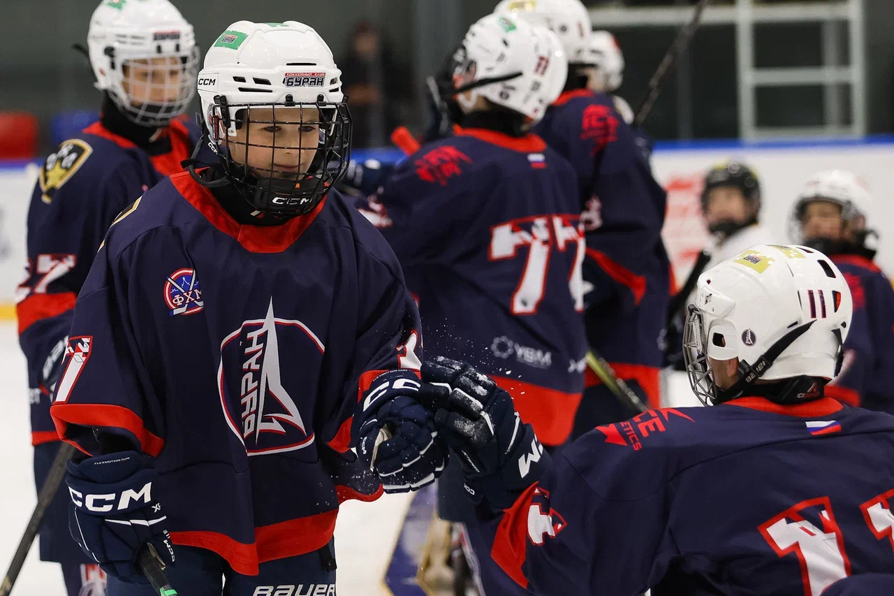 Фото: Буран - Пингвины 2015