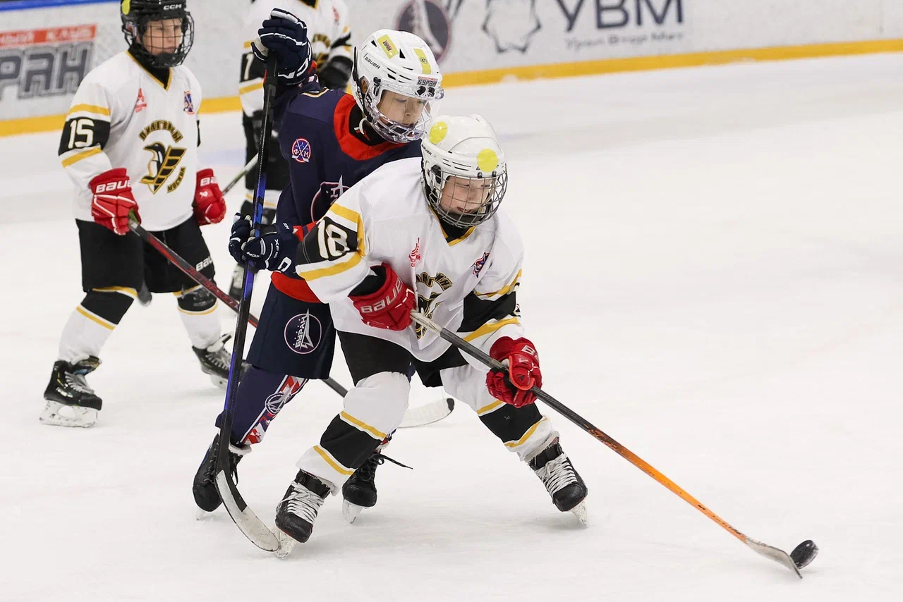 Фото: Буран - Пингвины 2015