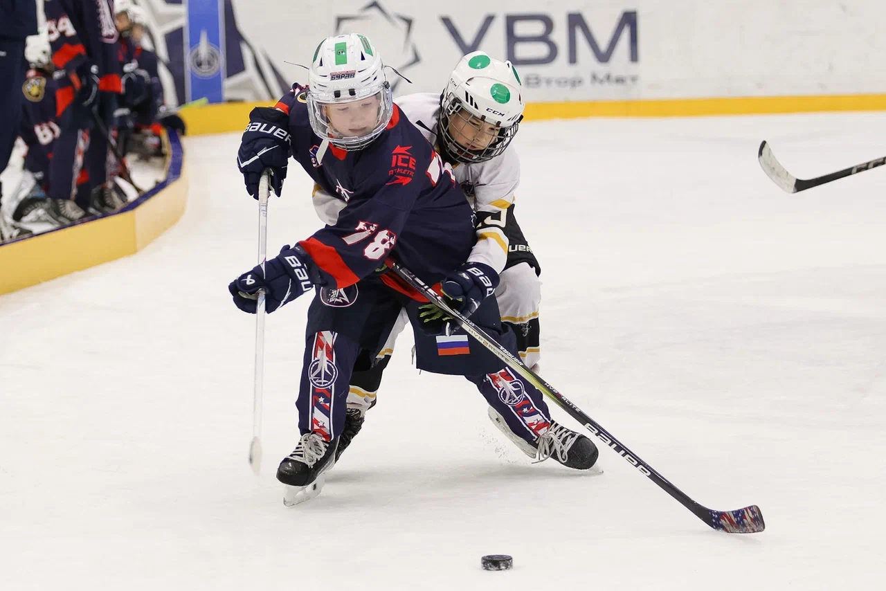 Фото: Буран - Пингвины 2015