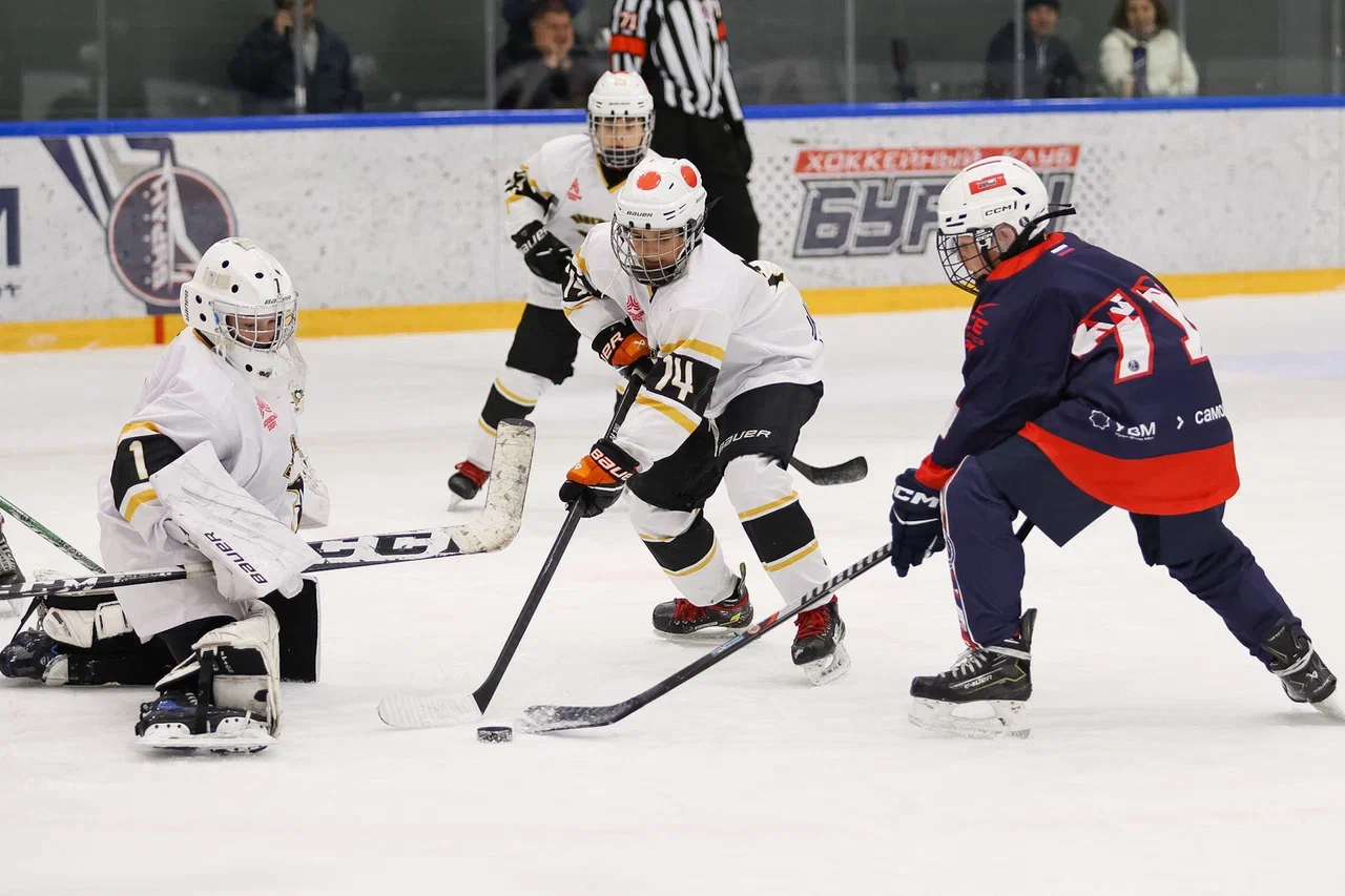 Фото: Буран - Пингвины 2015