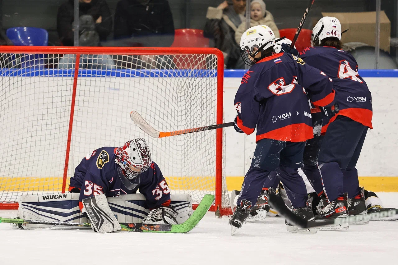 Фото: Буран - Пингвины 2015
