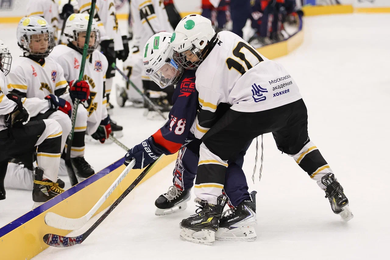 Фото: Буран - Пингвины 2015