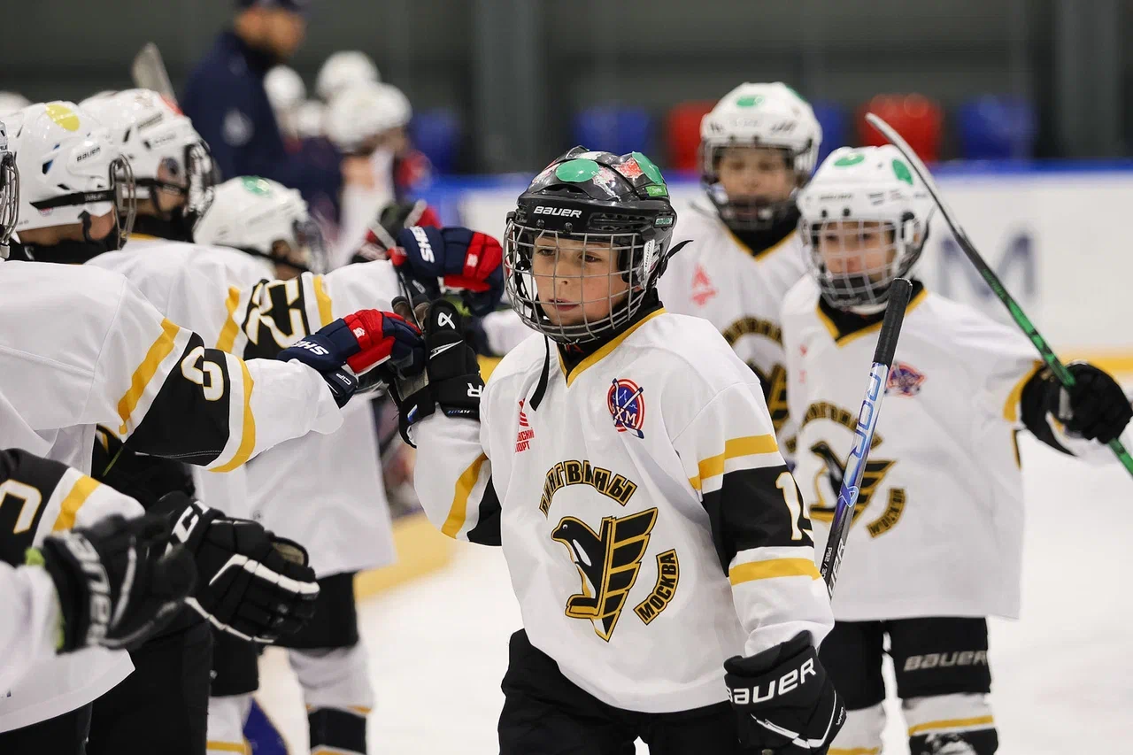 Фото: Буран - Пингвины 2015