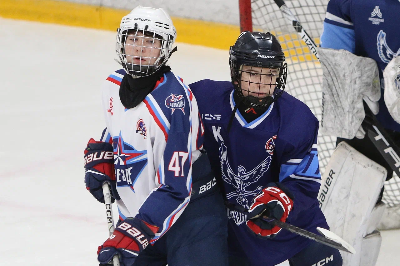 Фото: Синяя птица - Созвездие 2012