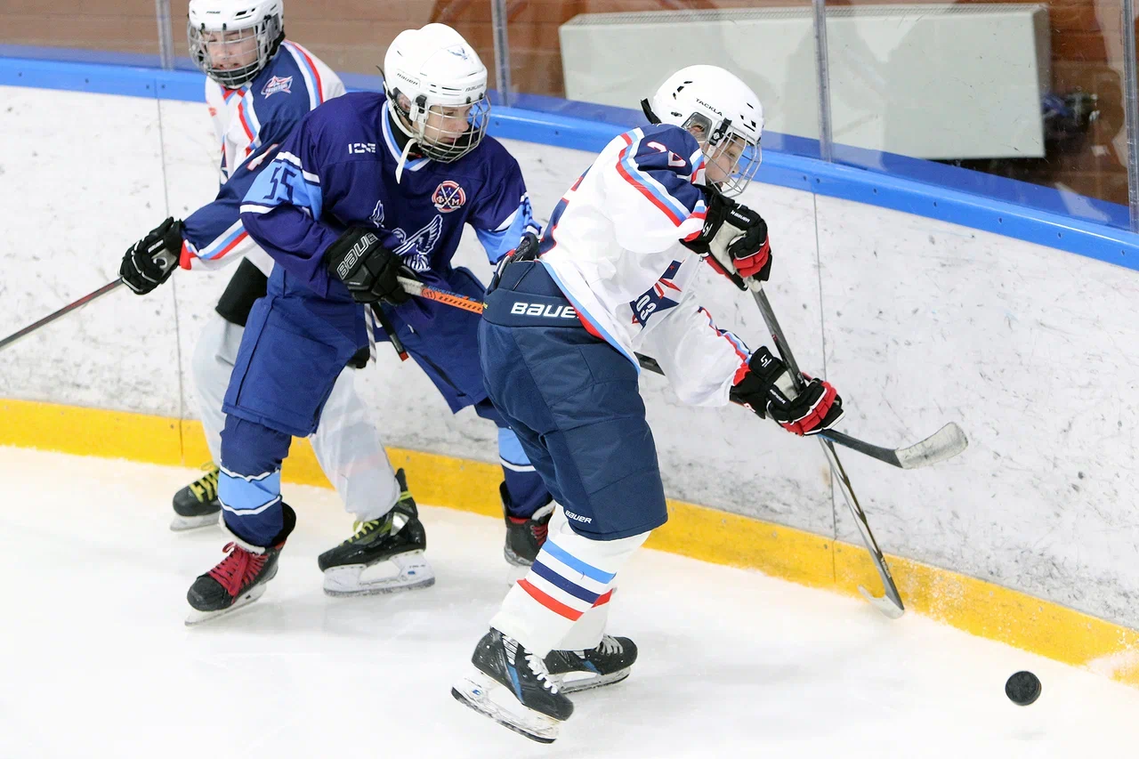 Фото: Синяя птица - Созвездие 2012