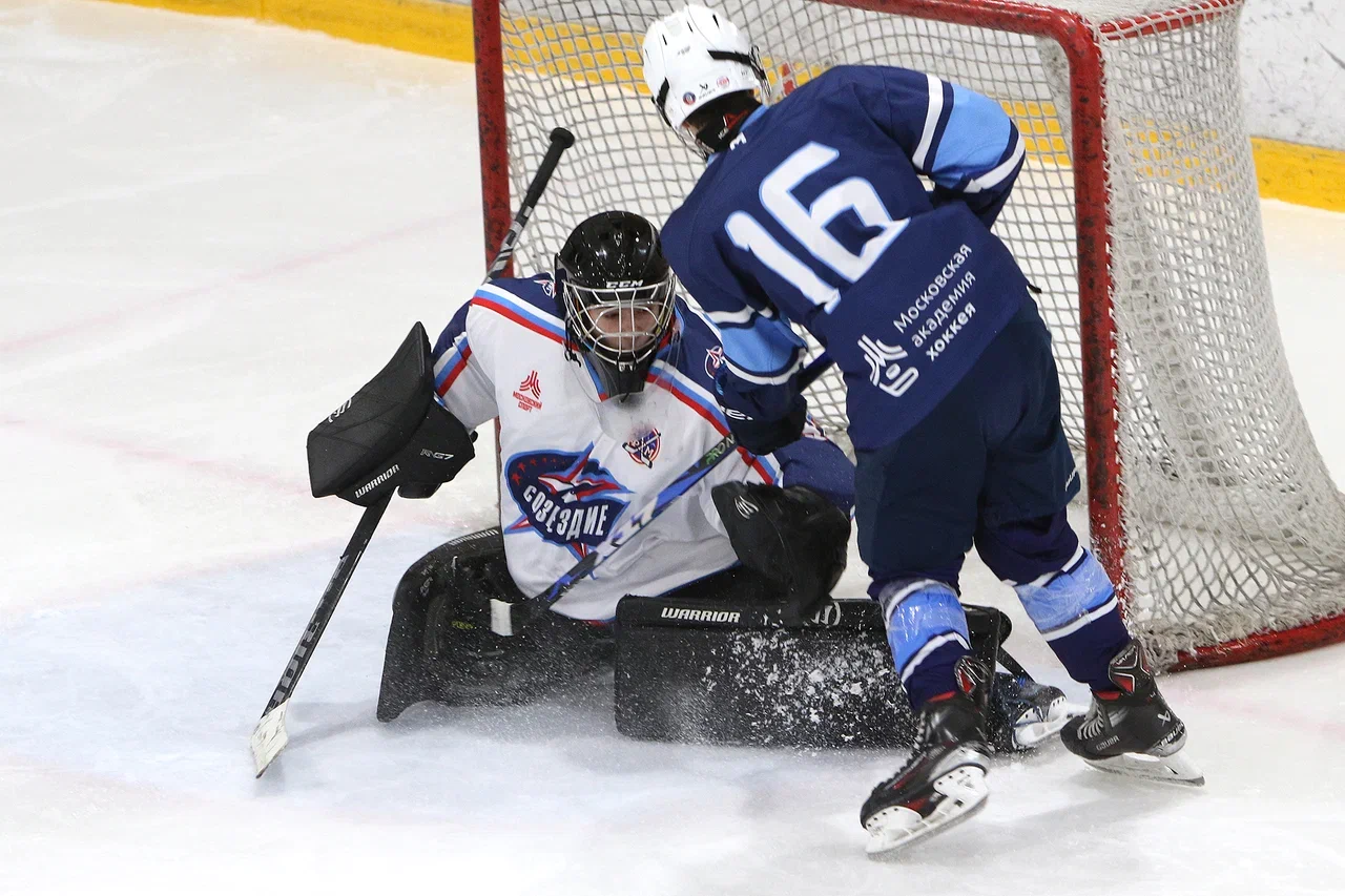 Фото: Синяя птица - Созвездие 2012