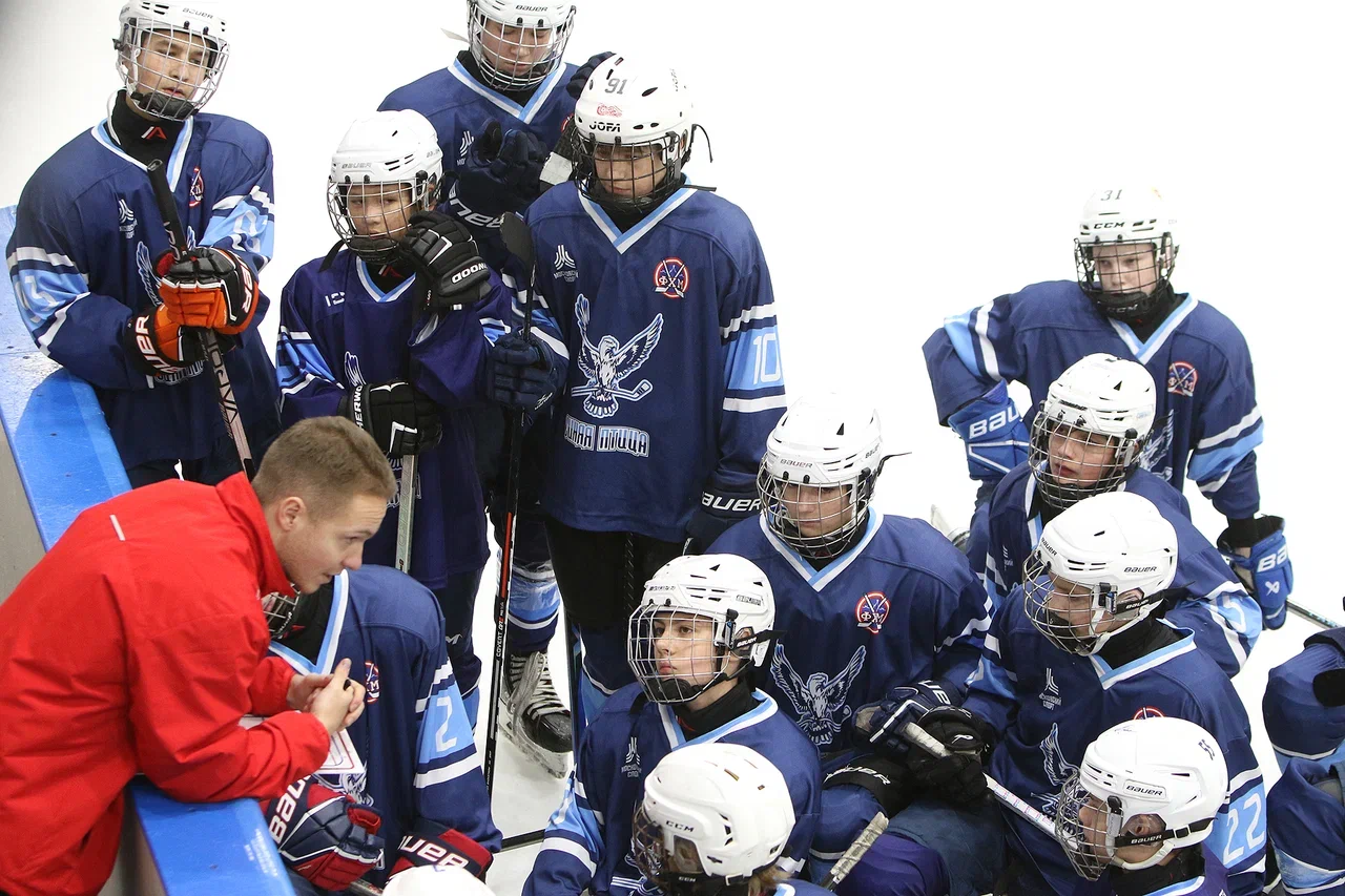 Фото: Синяя птица - Созвездие 2012