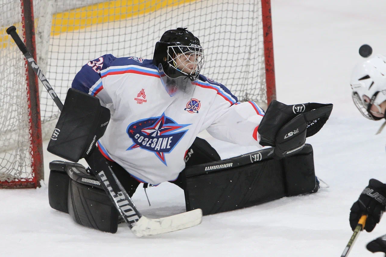 Фото: Синяя птица - Созвездие 2012