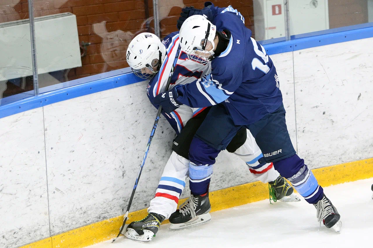 Фото: Синяя птица - Созвездие 2012