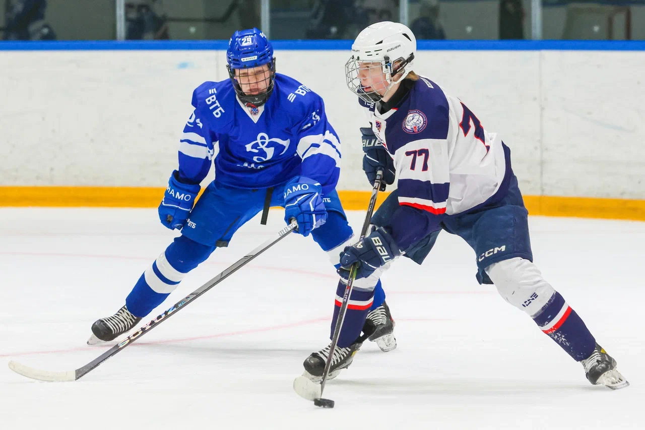 Фото: Динамо - Крылья Советов 2009