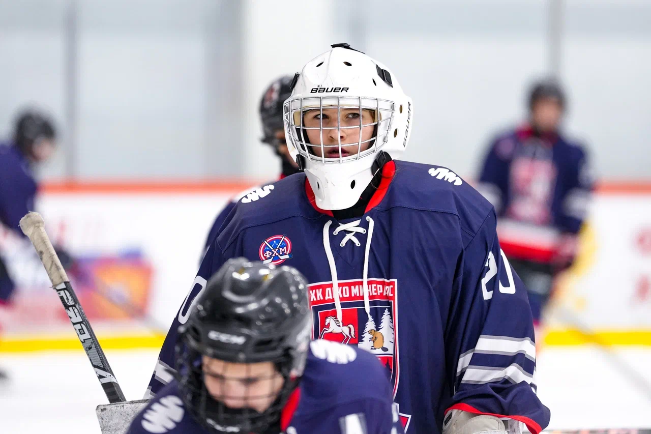 Фото: Деко Минералс - Буран (Москва) 2013