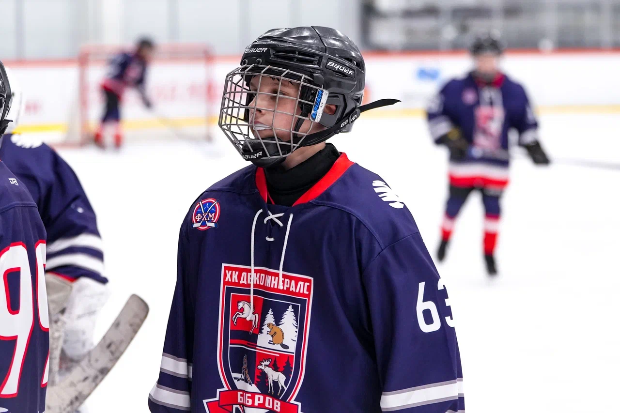 Фото: Деко Минералс - Буран (Москва) 2013