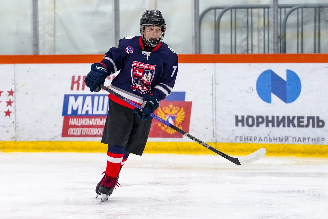 Фото: Деко Минералс - Буран (Москва) 2013