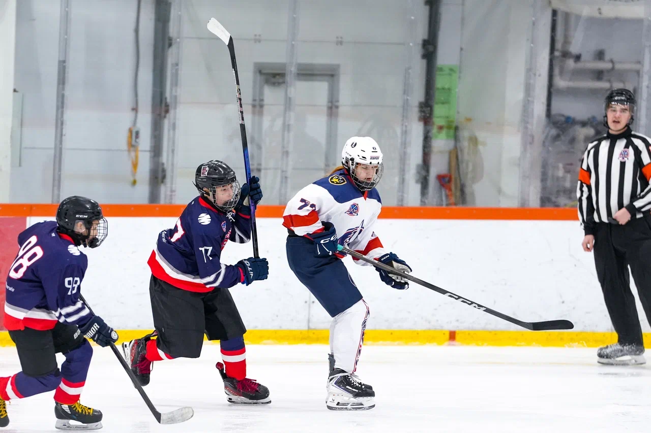 Фото: Деко Минералс - Буран (Москва) 2013