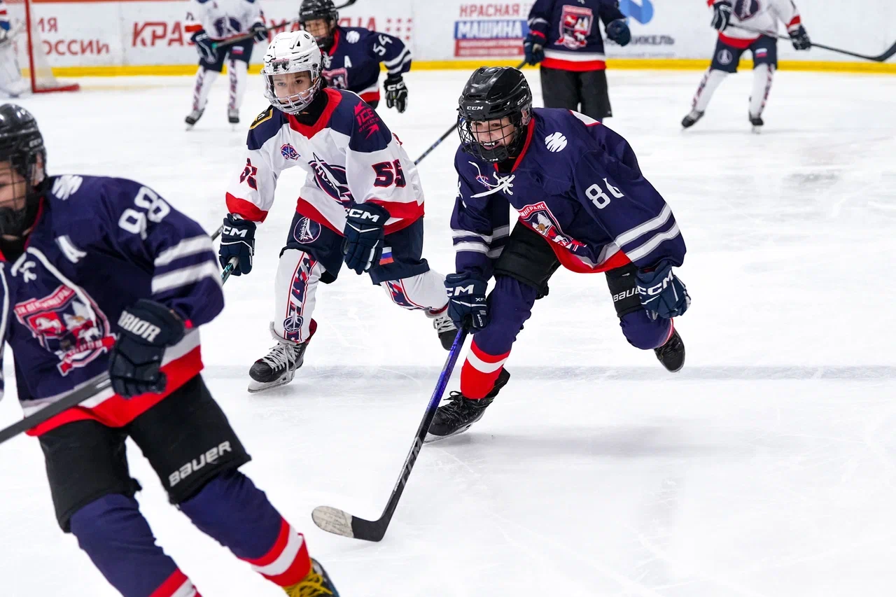 Фото: Деко Минералс - Буран (Москва) 2013