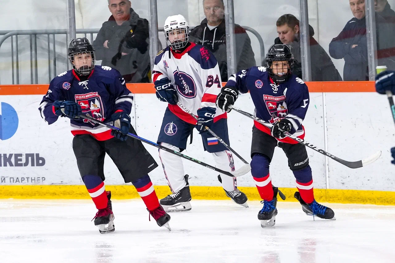 Фото: Деко Минералс - Буран (Москва) 2013