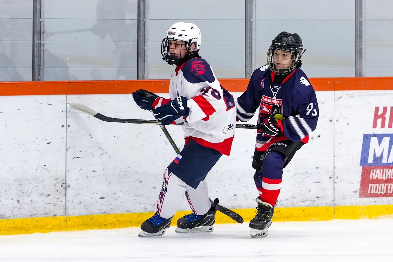 Фото: Деко Минералс - Буран (Москва) 2013