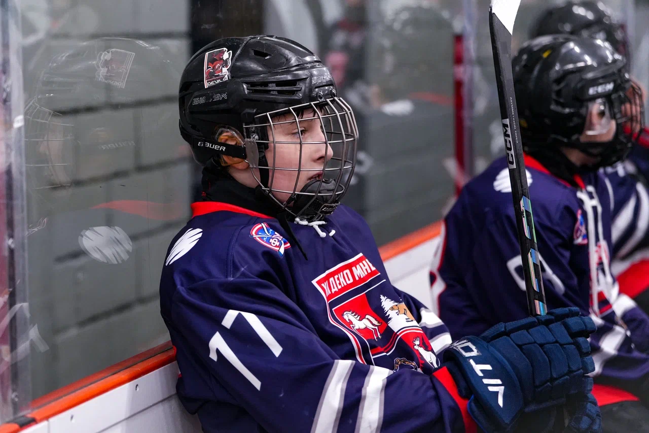 Фото: Деко Минералс - Буран (Москва) 2013
