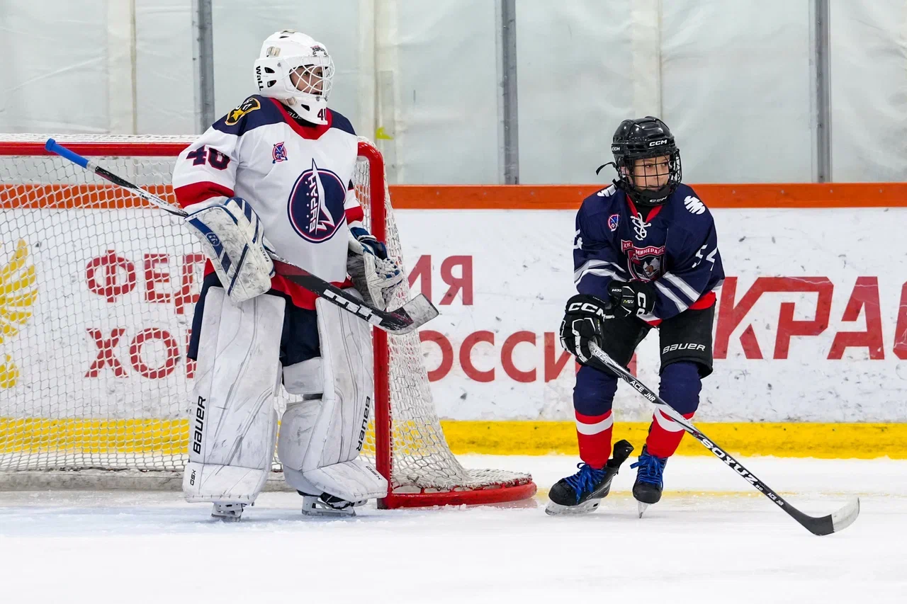 Фото: Деко Минералс - Буран (Москва) 2013