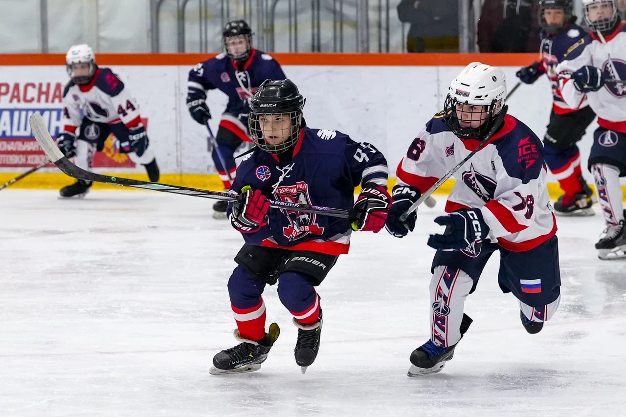 Фото: Деко Минералс - Буран (Москва) 2013