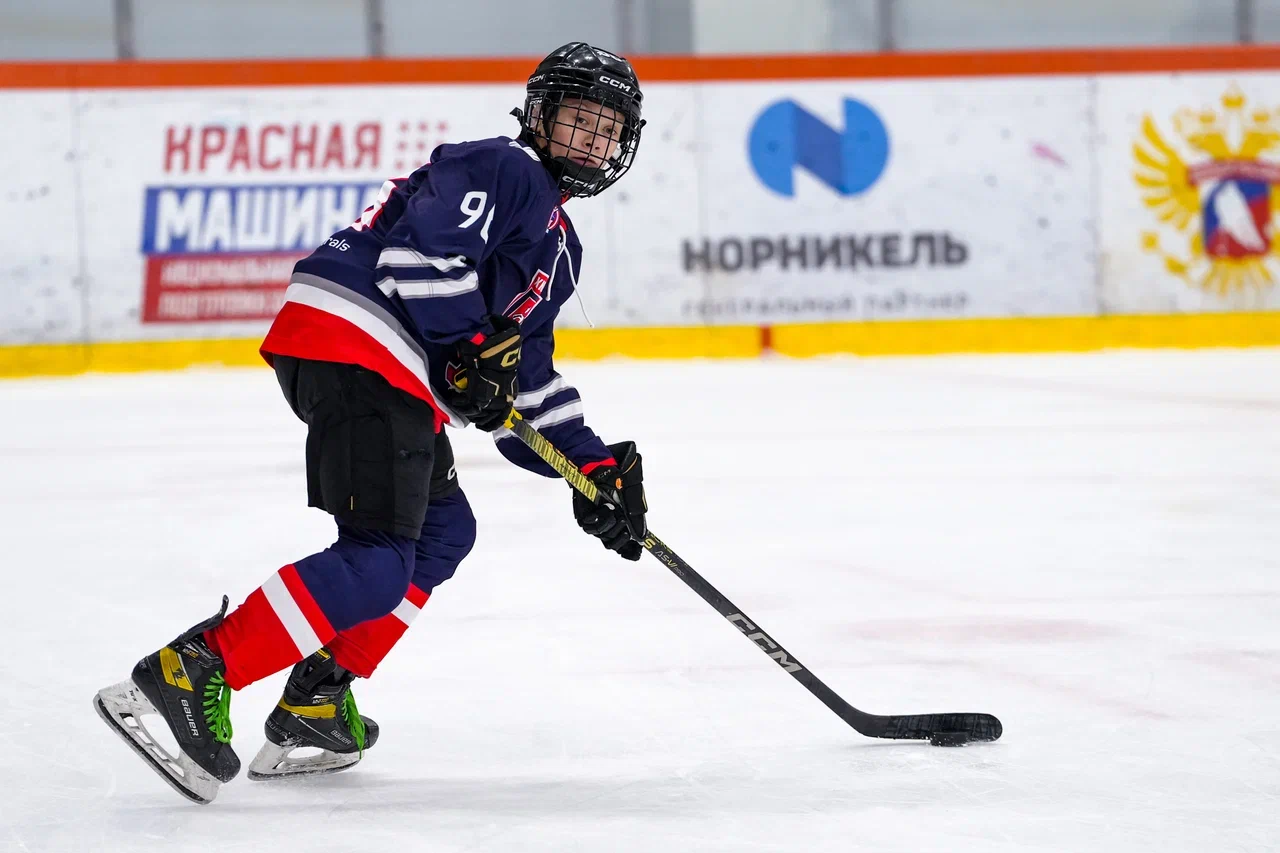 Фото: Деко Минералс - Буран (Москва) 2013